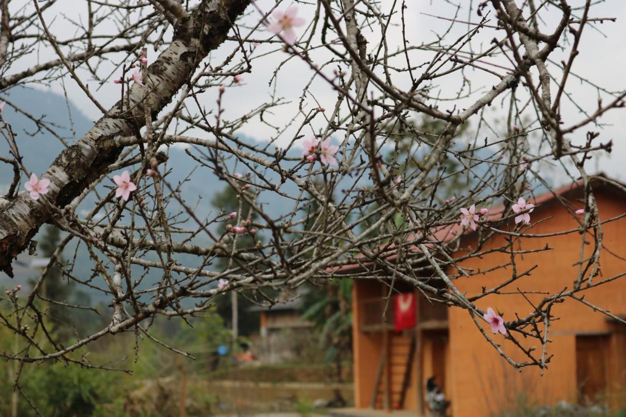 Huy homestay Hà Giang Ngoại thất bức ảnh