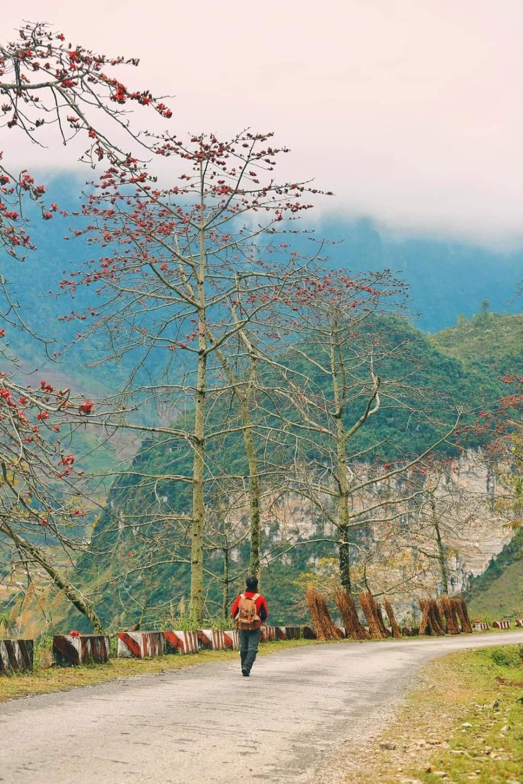 Huy homestay Hà Giang Ngoại thất bức ảnh