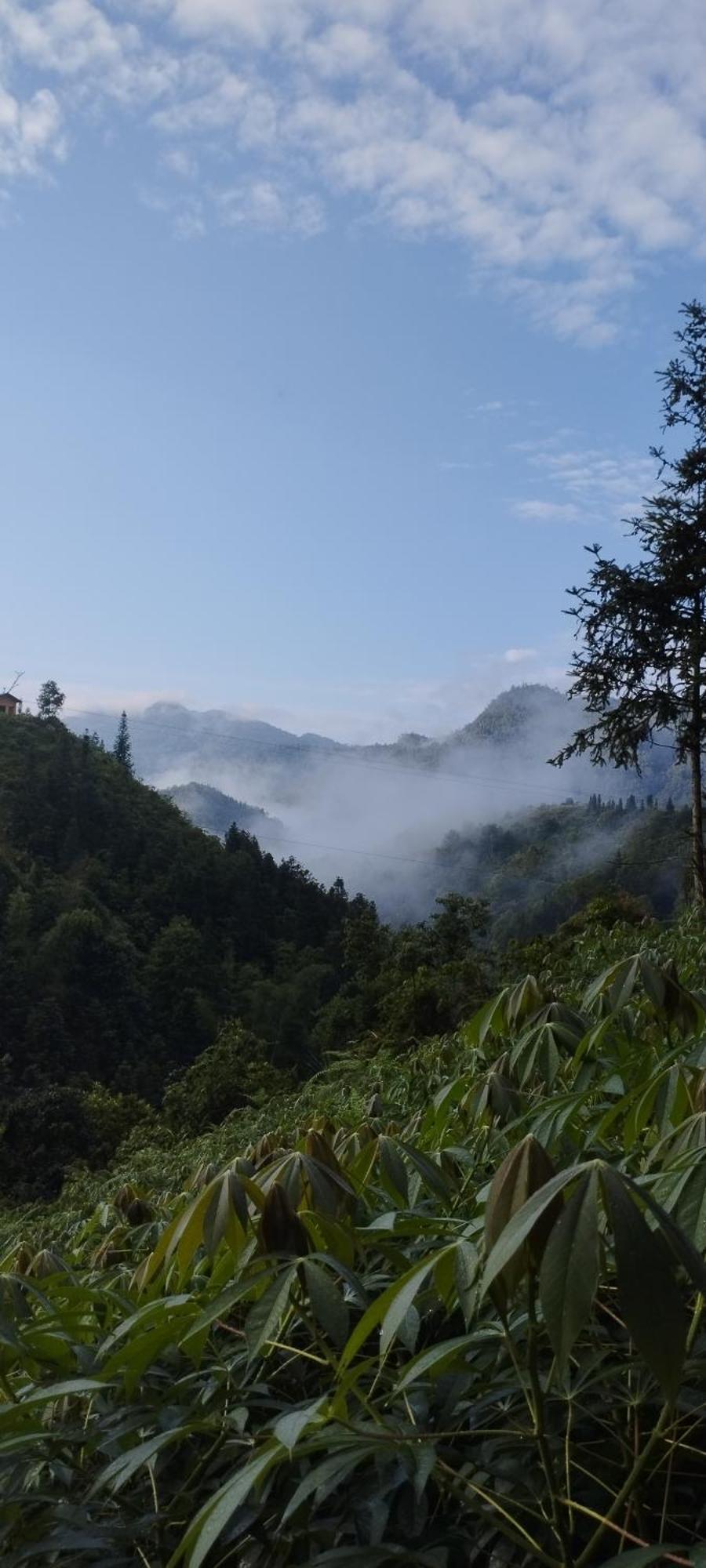 Huy homestay Hà Giang Ngoại thất bức ảnh